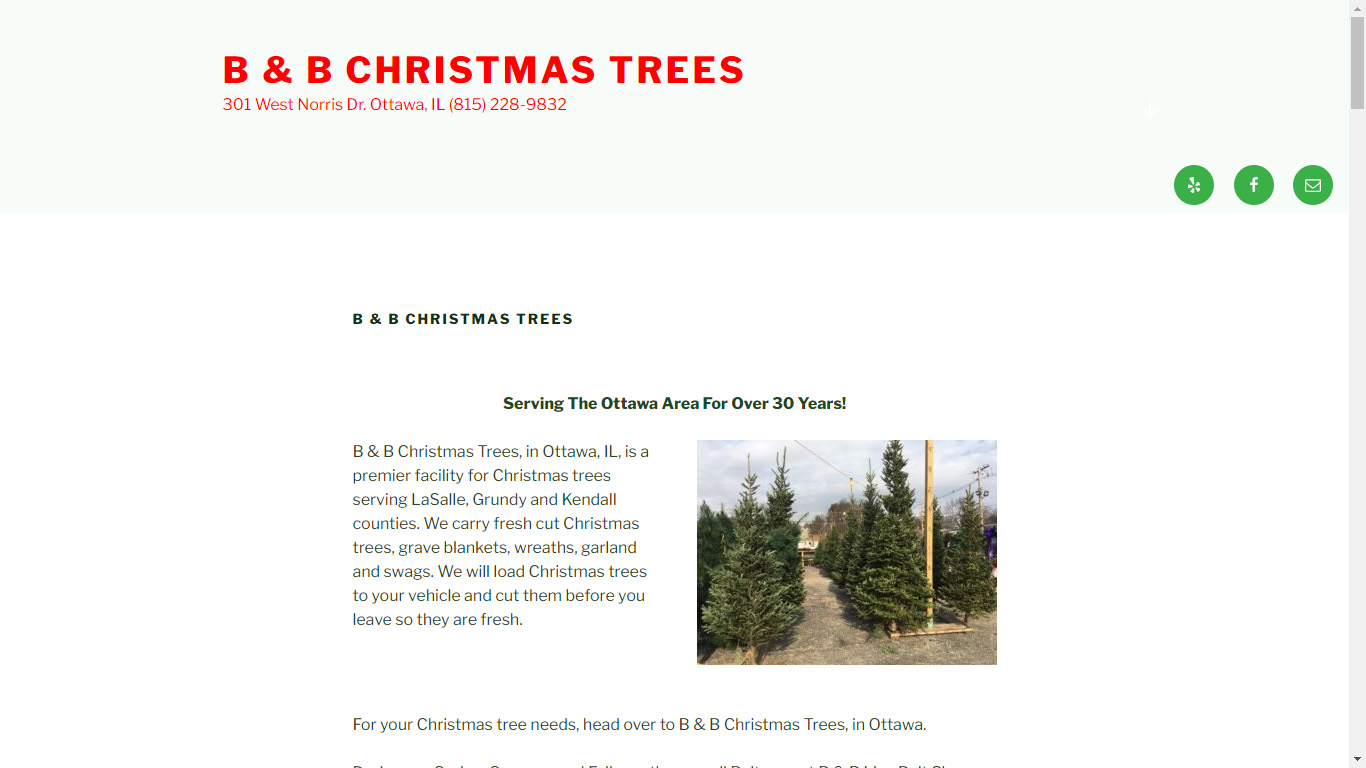 B & B Christmas Trees